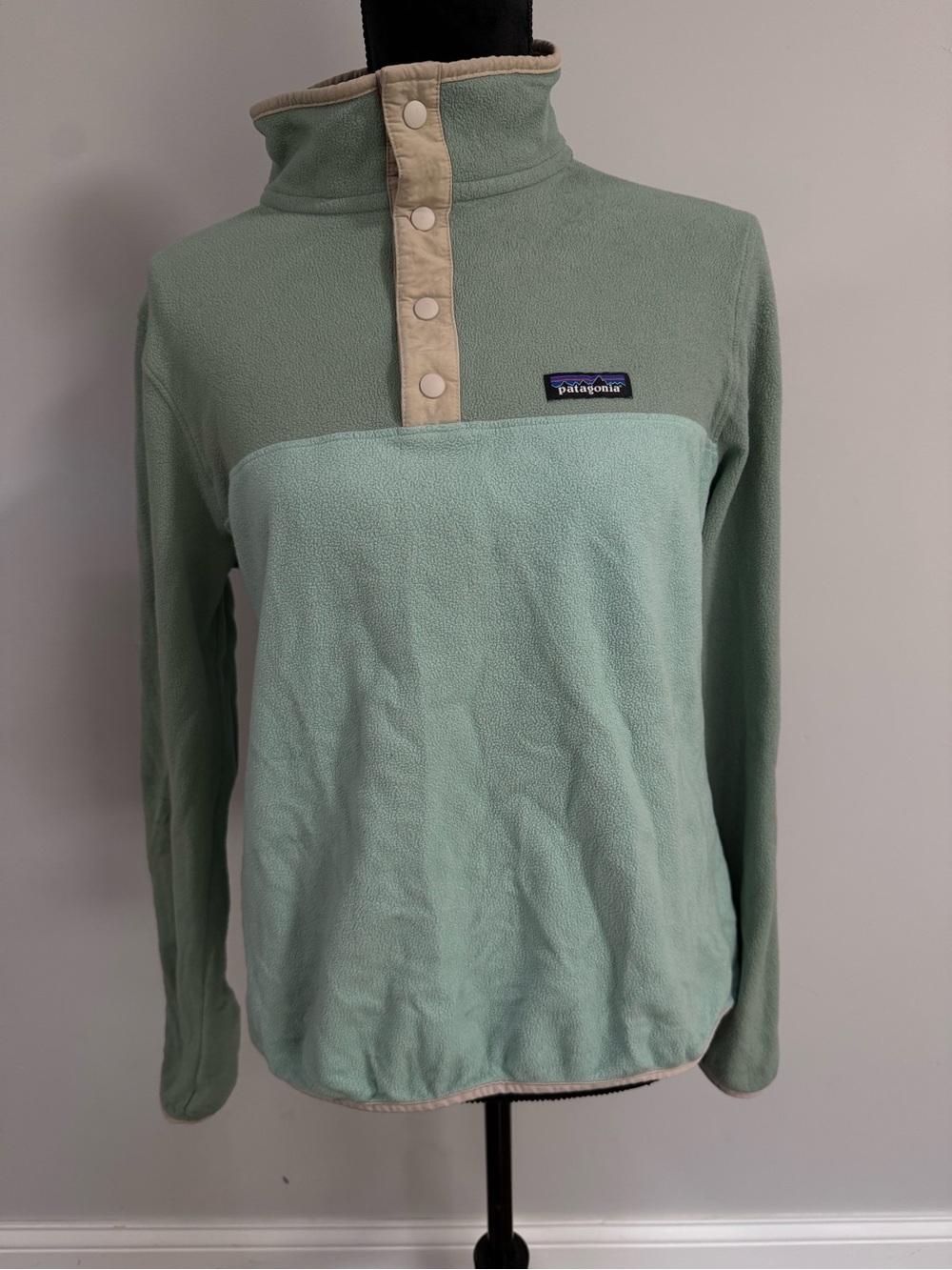 Patagonia Women's Two-Tone Mint Green Snap-T Pullover